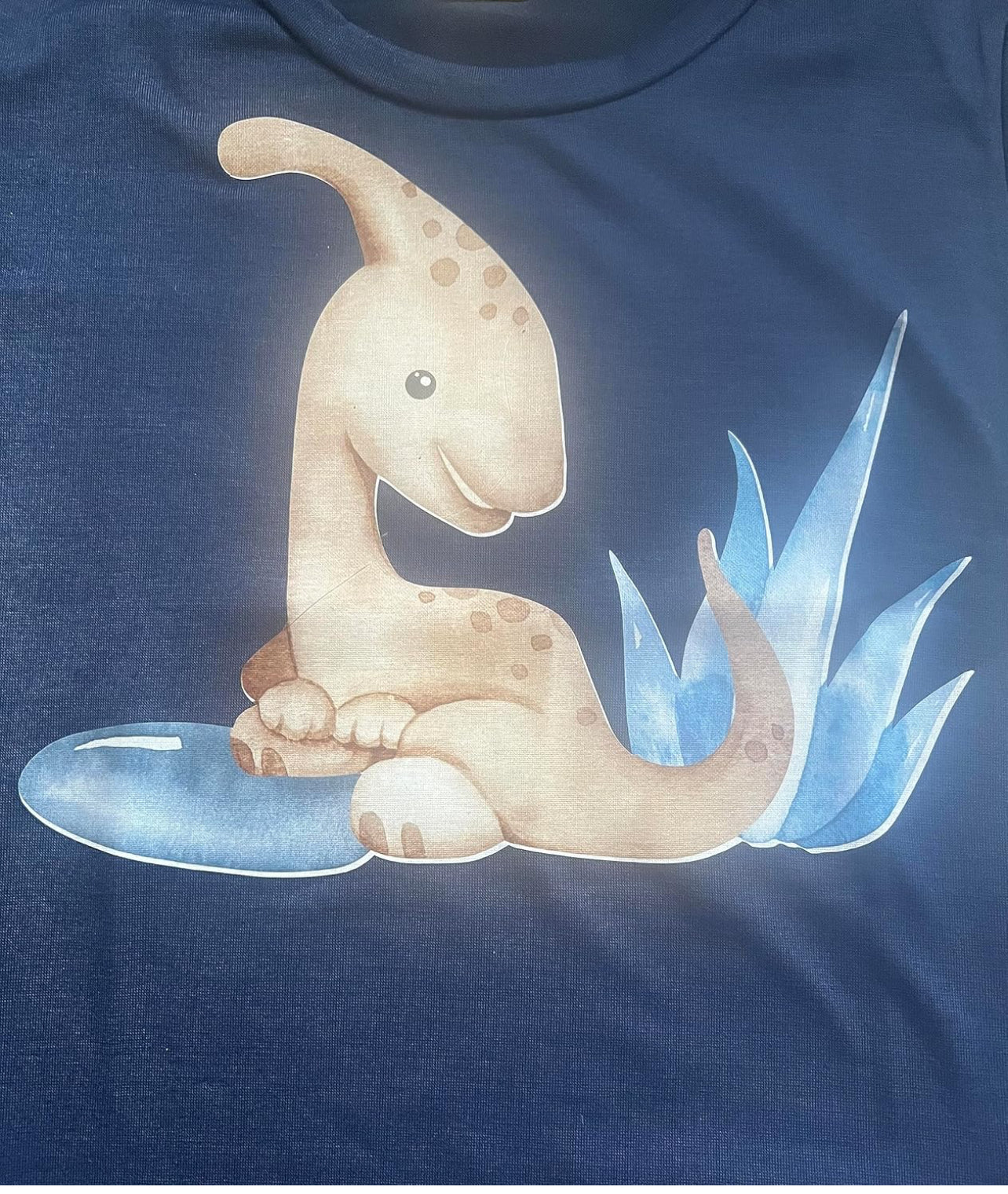 Dinosaur T-Shirts Handmade Styles