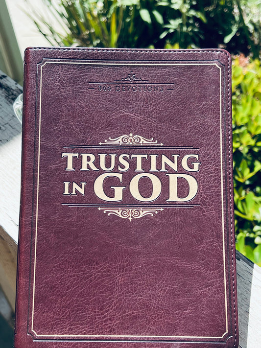 Trusting in God  366 devotions