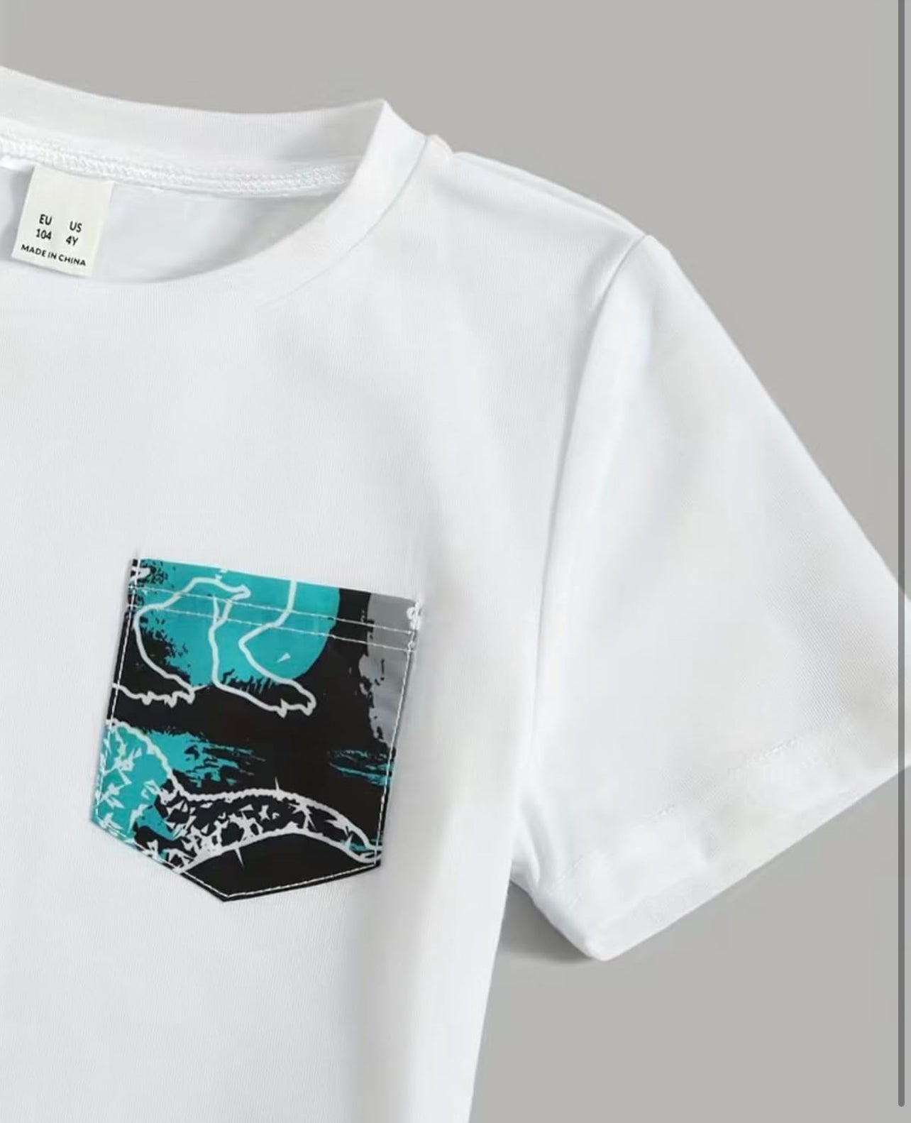 2 pc Colorful Boys Dinosaur Print Shorts and crew Neck T-shirt