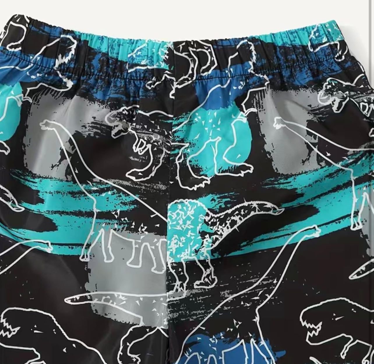 2 pc Colorful Boys Dinosaur Print Shorts and crew Neck T-shirt